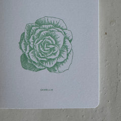 レターカード CAMELIA